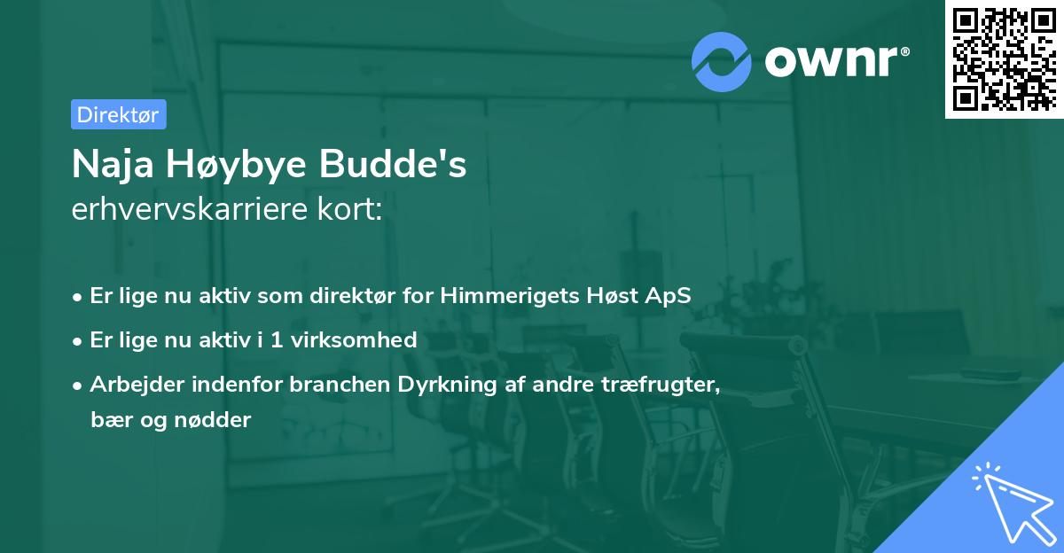 Naja Høybye Budde's erhvervskarriere kort