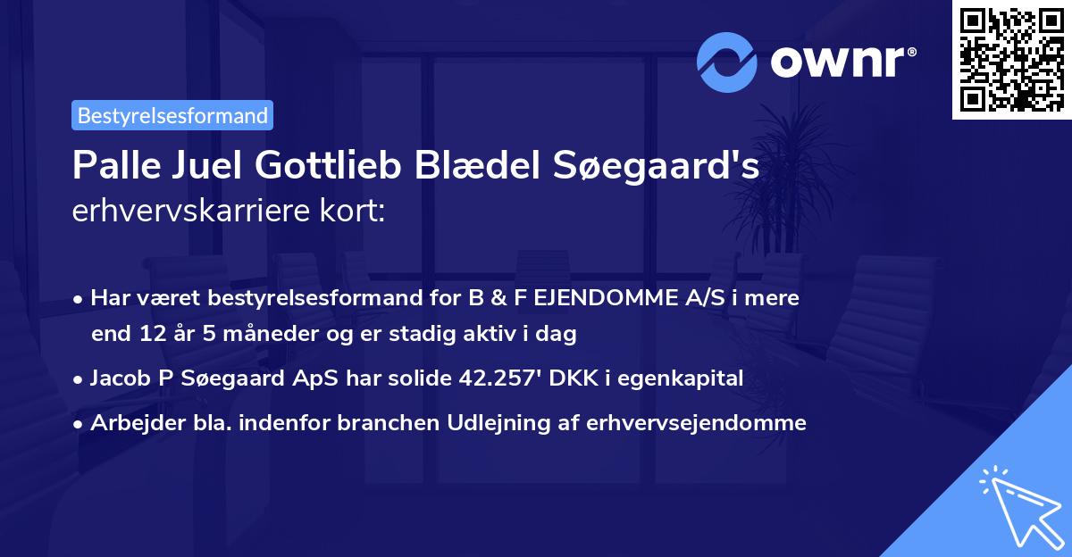 Palle Juel Gottlieb Blædel Søegaard's erhvervskarriere kort