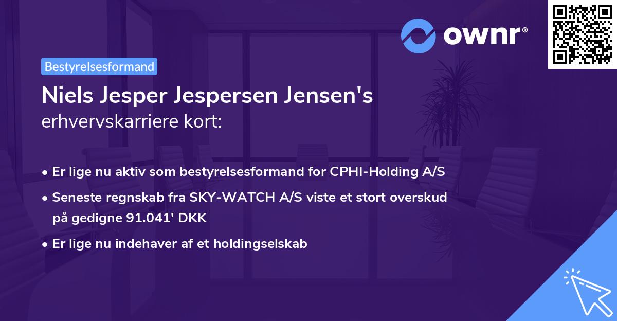 Niels Jesper Jespersen Jensen's erhvervskarriere kort