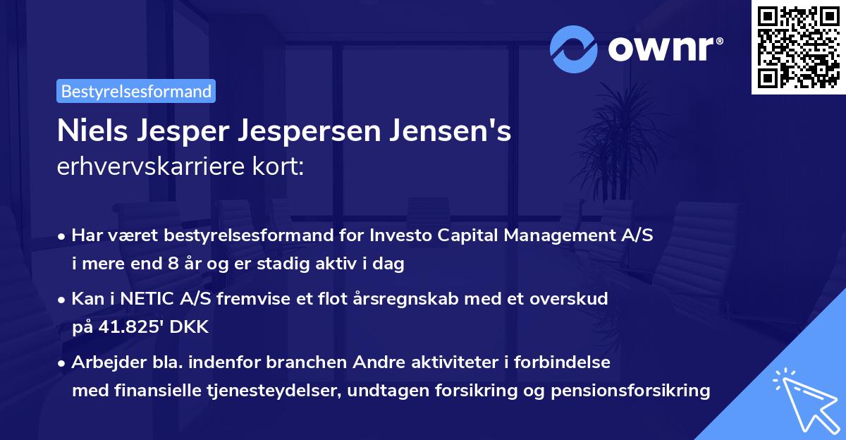Niels Jesper Jespersen Jensen's erhvervskarriere kort