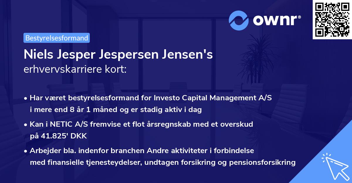 Niels Jesper Jespersen Jensen's erhvervskarriere kort