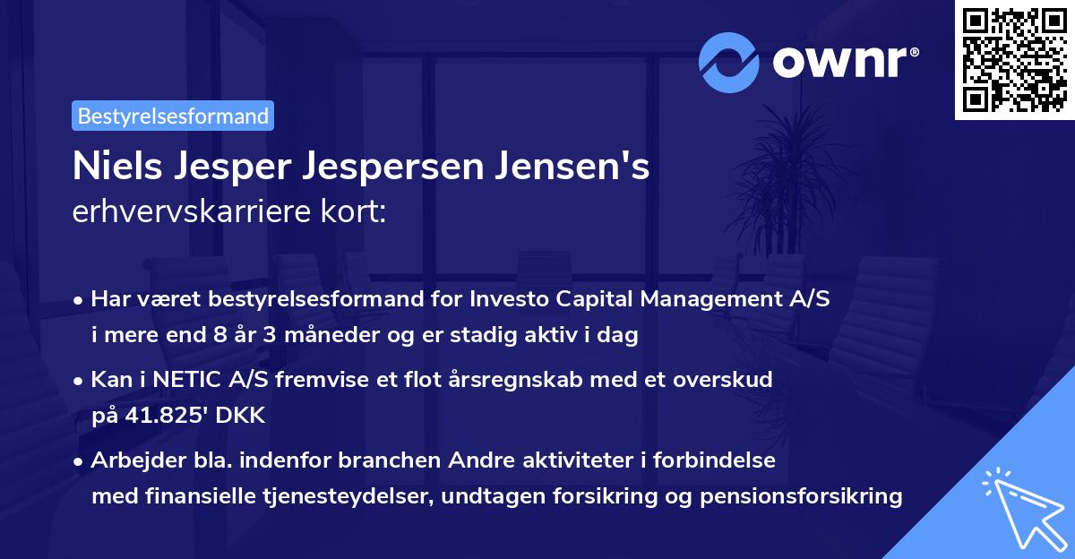 Niels Jesper Jespersen Jensen's erhvervskarriere kort