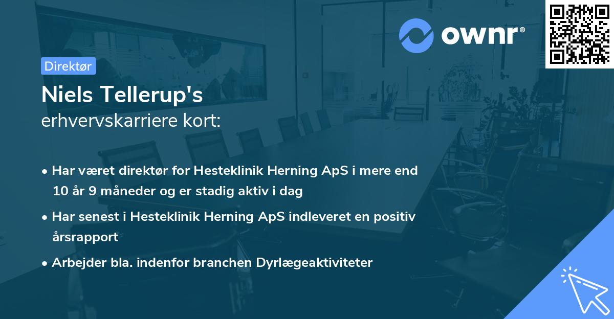 Niels Tellerup's erhvervskarriere kort