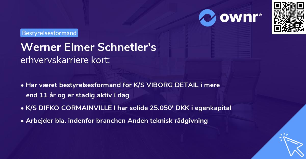 Werner Elmer Schnetler's erhvervskarriere kort