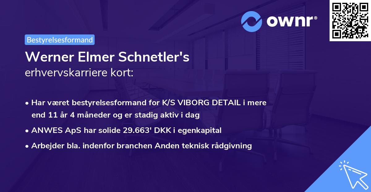 Werner Elmer Schnetler's erhvervskarriere kort