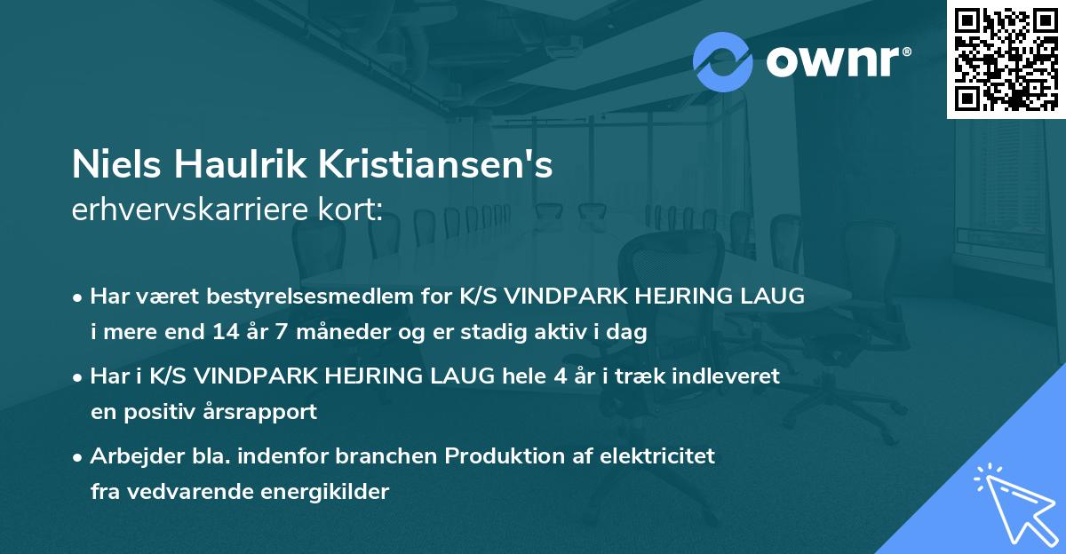 Niels Haulrik Kristiansen's erhvervskarriere kort