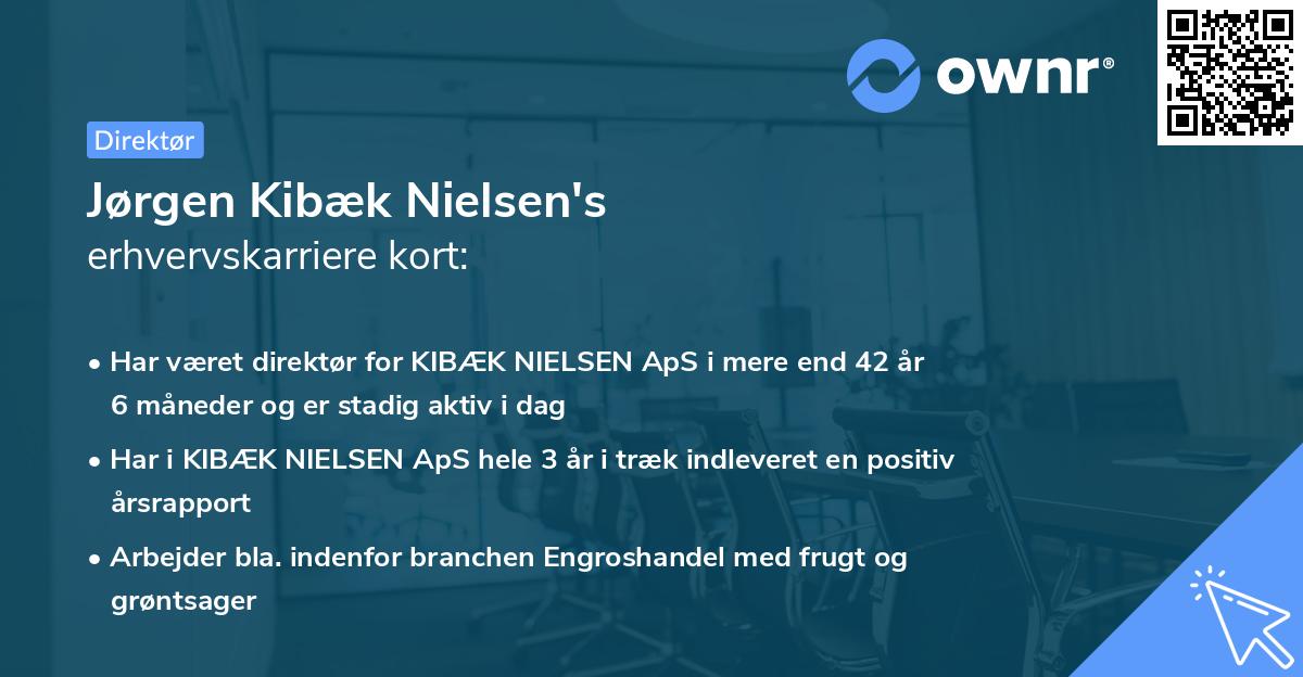 Jørgen Kibæk Nielsen's erhvervskarriere kort