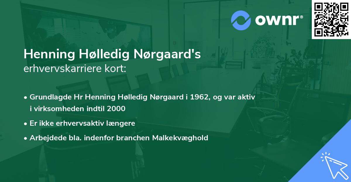 Henning Hølledig Nørgaard's erhvervskarriere kort