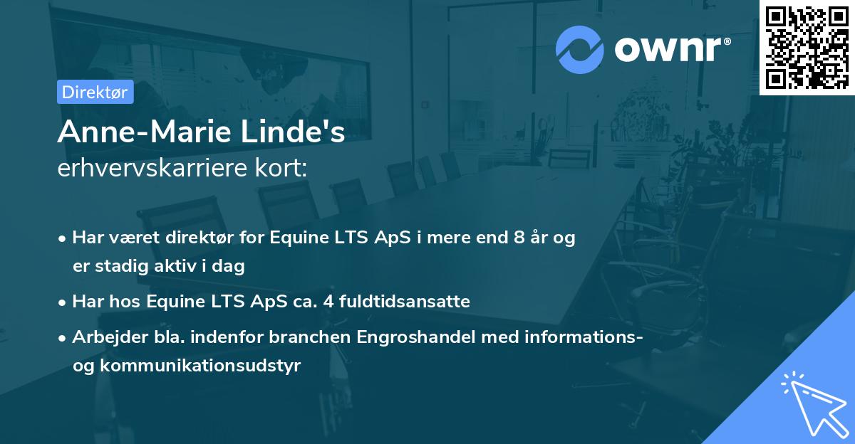 Anne-Marie Linde's erhvervskarriere kort