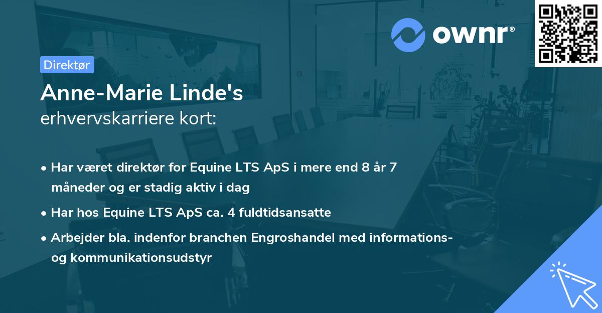 Anne-Marie Linde's erhvervskarriere kort