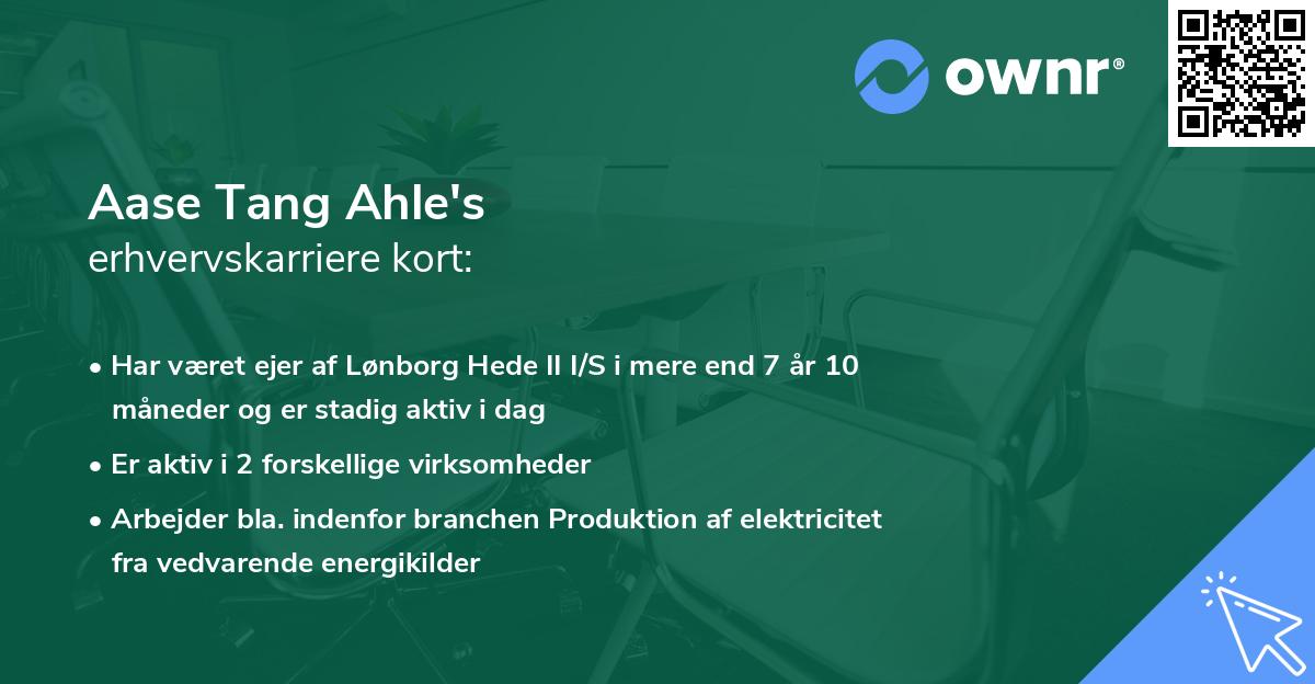 Aase Tang Ahle's erhvervskarriere kort