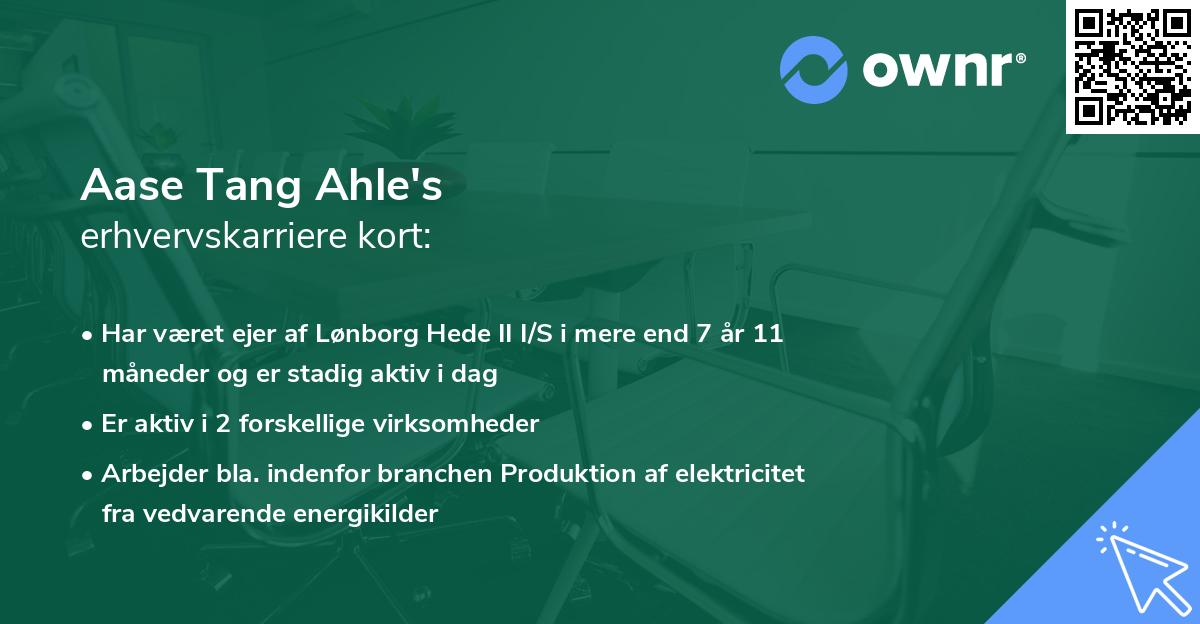 Aase Tang Ahle's erhvervskarriere kort