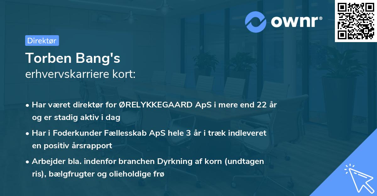 Torben Bang's erhvervskarriere kort