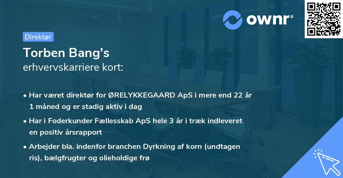 Torben Bang's erhvervskarriere kort