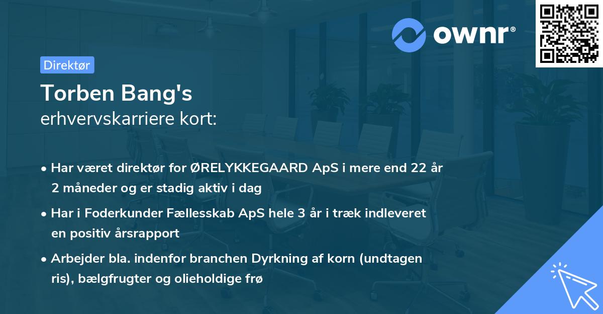 Torben Bang's erhvervskarriere kort