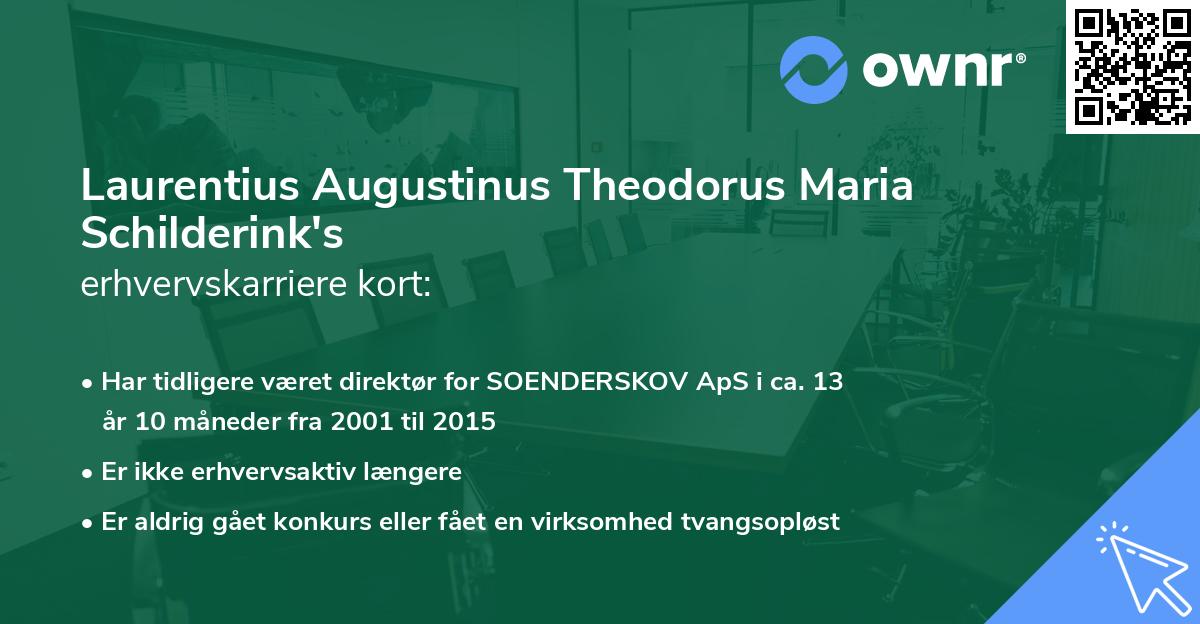 Laurentius Augustinus Theodorus Maria Schilderink's erhvervskarriere kort