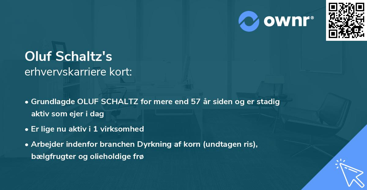 Oluf Schaltz's erhvervskarriere kort