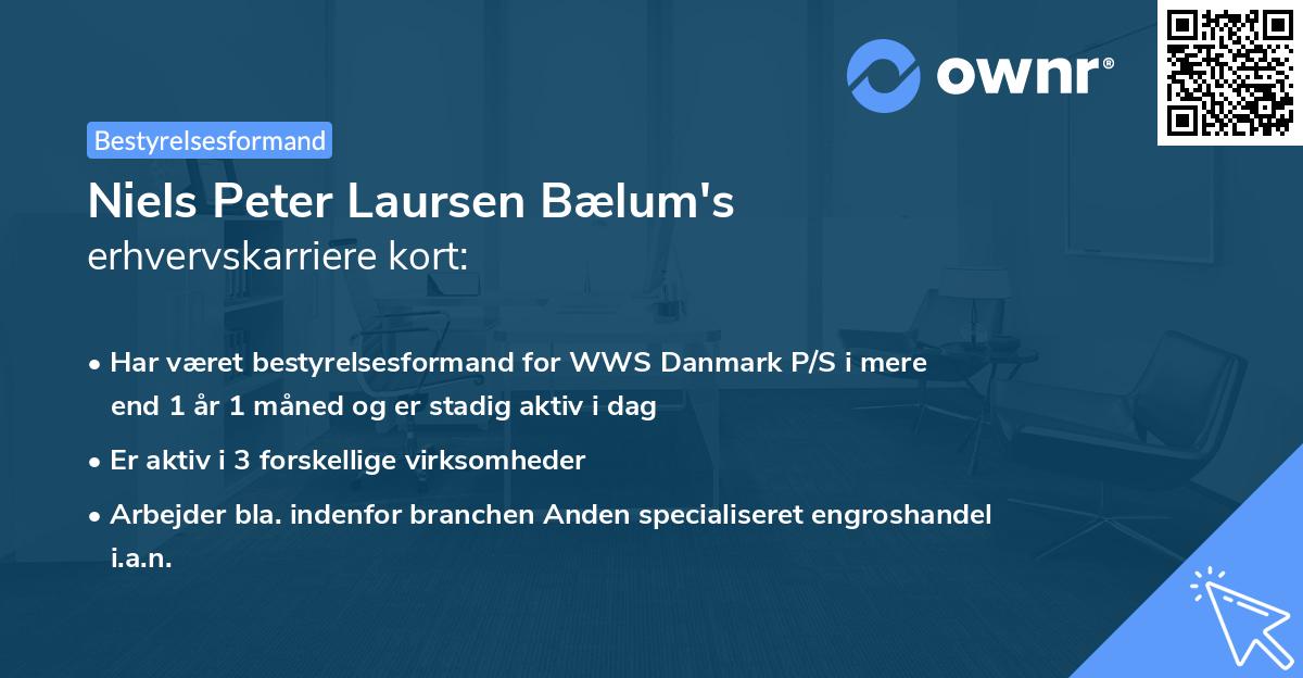 Niels Peter Laursen Bælum's erhvervskarriere kort
