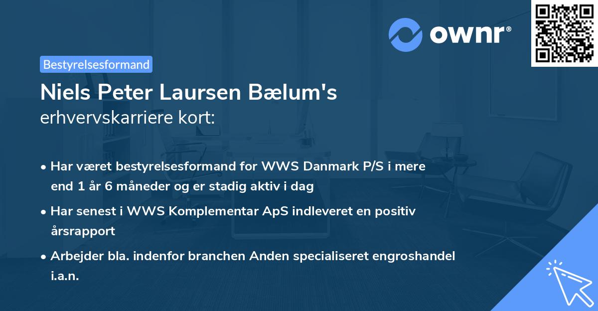 Niels Peter Laursen Bælum's erhvervskarriere kort