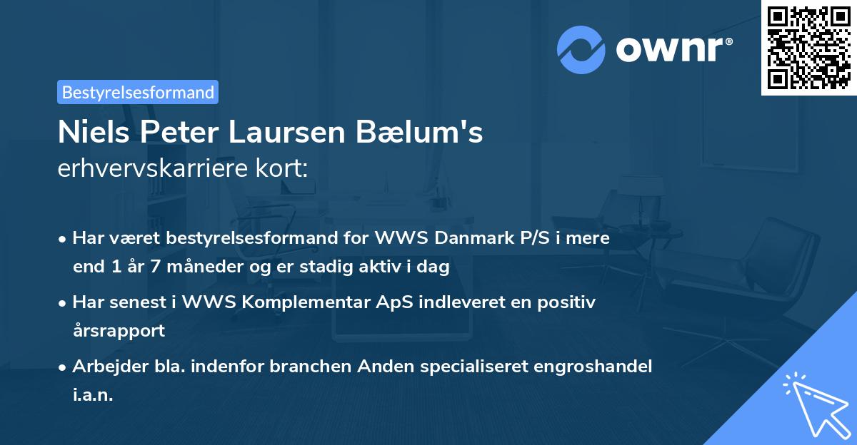 Niels Peter Laursen Bælum's erhvervskarriere kort