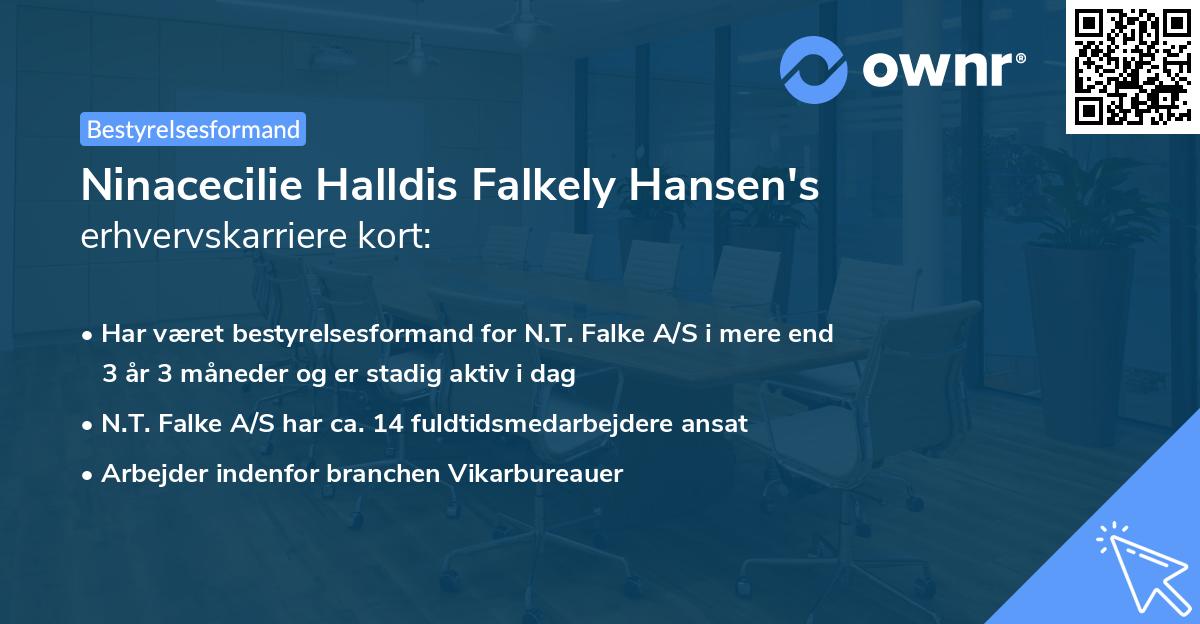 Ninacecilie Halldis Falkely Hansen's erhvervskarriere kort