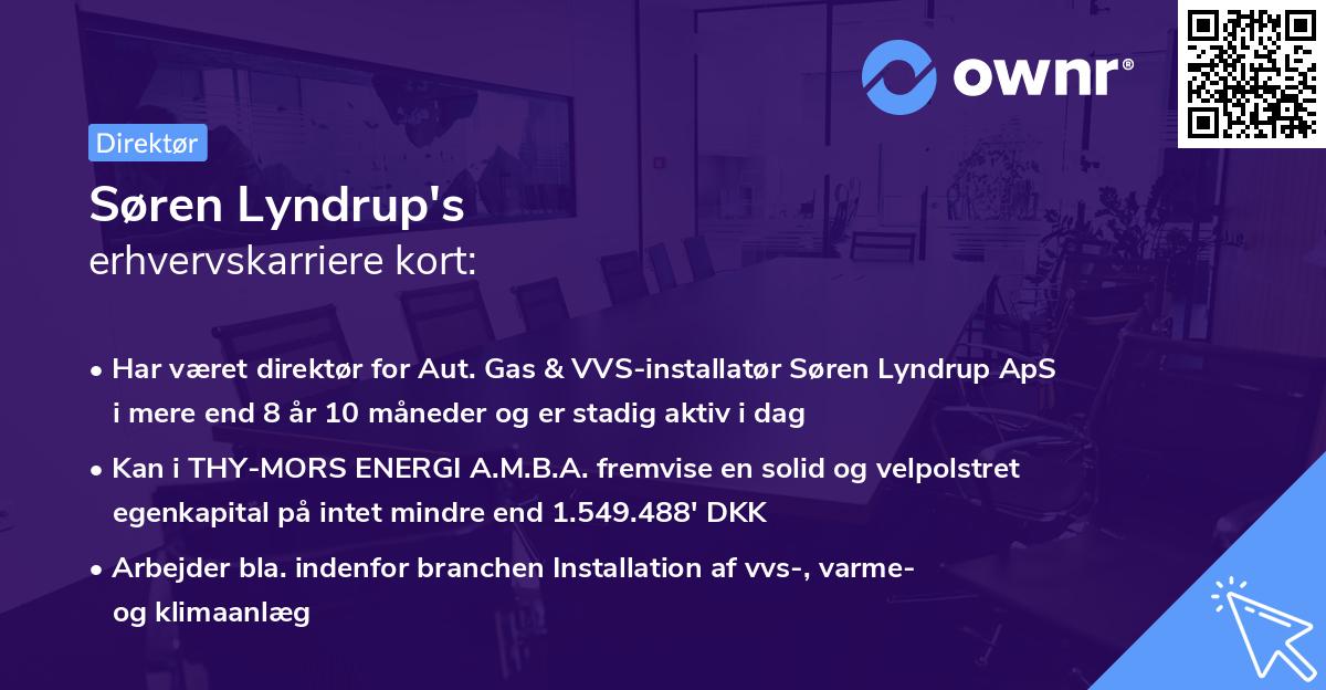 Søren Lyndrup's erhvervskarriere kort