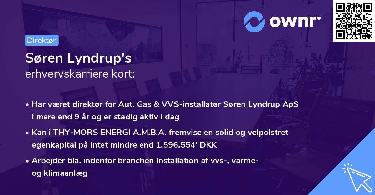 Søren Lyndrup's erhvervskarriere kort