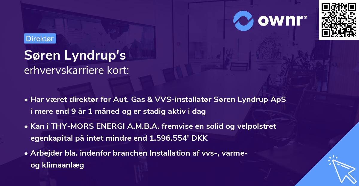 Søren Lyndrup's erhvervskarriere kort