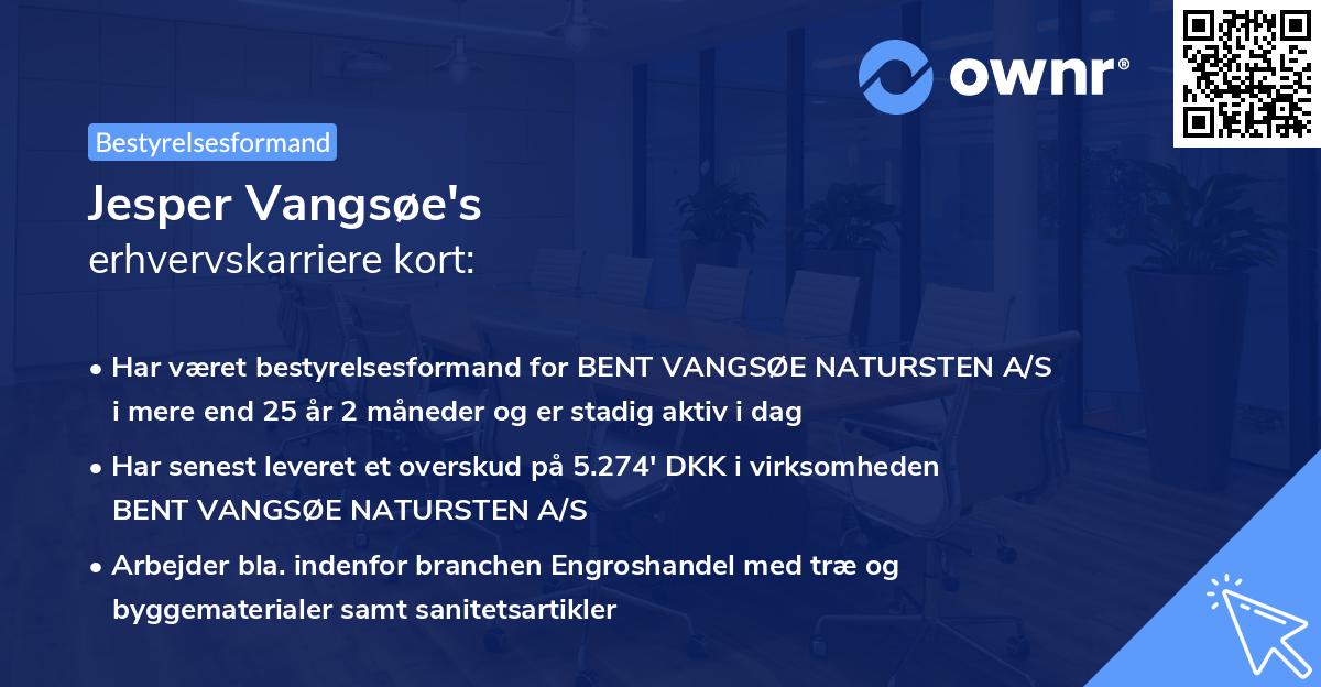 Jesper Vangsøe's erhvervskarriere kort