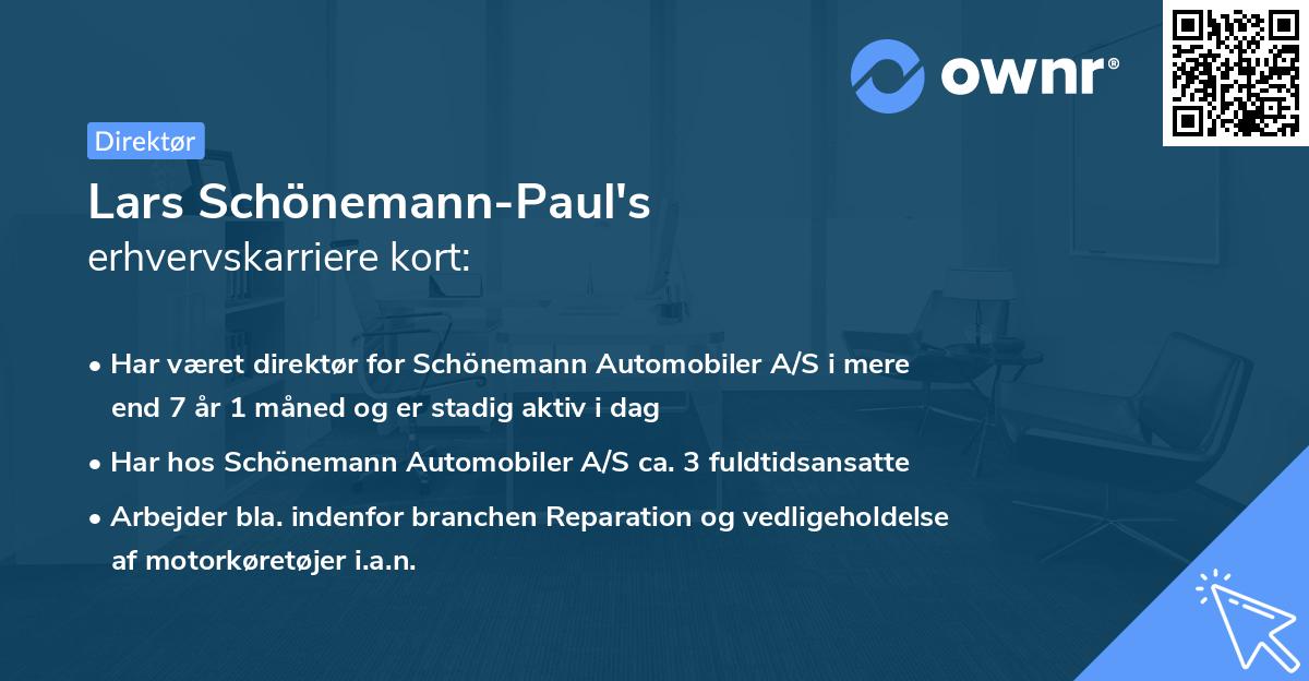 Lars Schönemann-Paul's erhvervskarriere kort