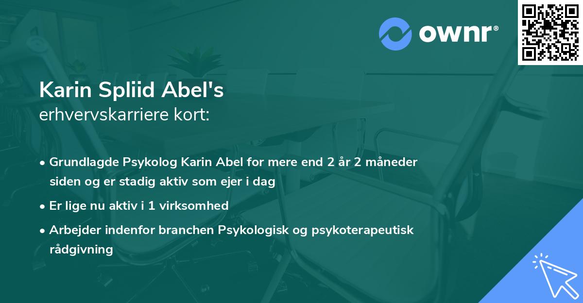 Karin Spliid Abel's erhvervskarriere kort