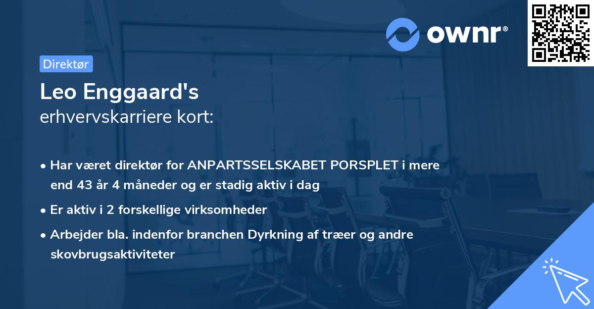 Leo Enggaard's erhvervskarriere kort