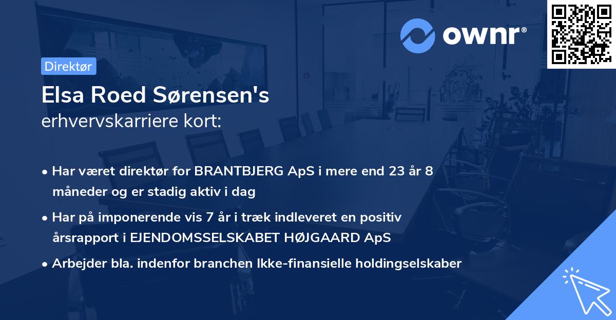 Elsa Roed Sørensen's erhvervskarriere kort