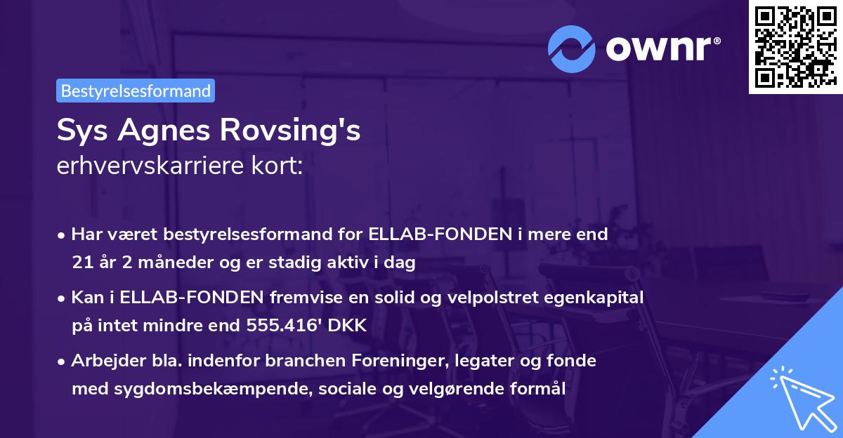 Sys Agnes Rovsing's erhvervskarriere kort