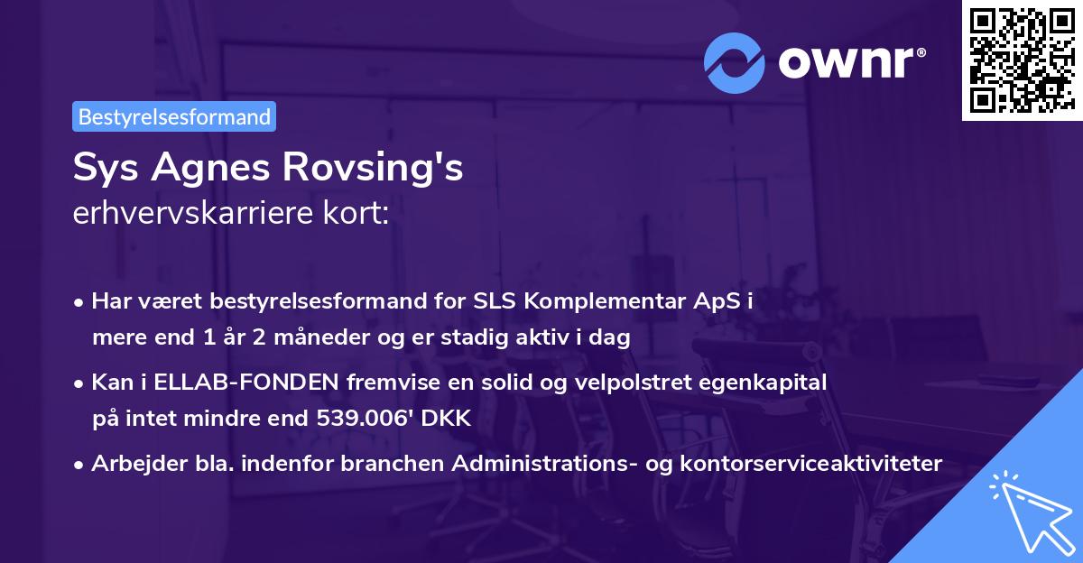 Sys Agnes Rovsing's erhvervskarriere kort
