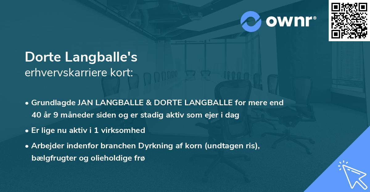 Dorte Langballe's erhvervskarriere kort