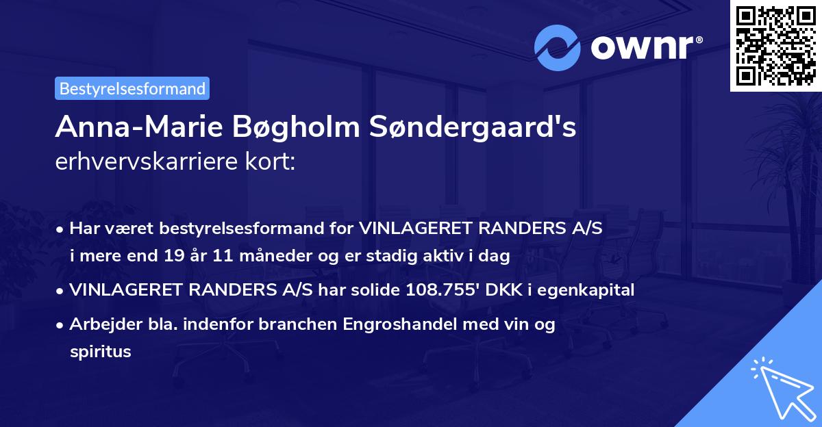 Anna-Marie Bøgholm Søndergaard's erhvervskarriere kort