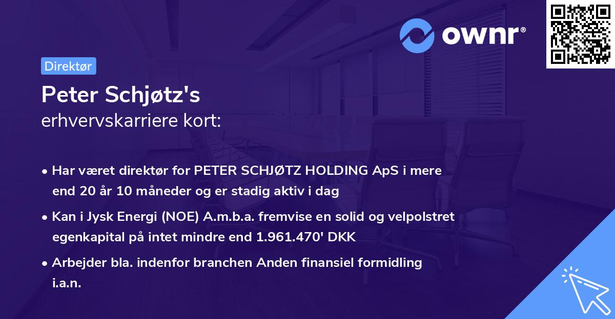 Peter Schjøtz's erhvervskarriere kort