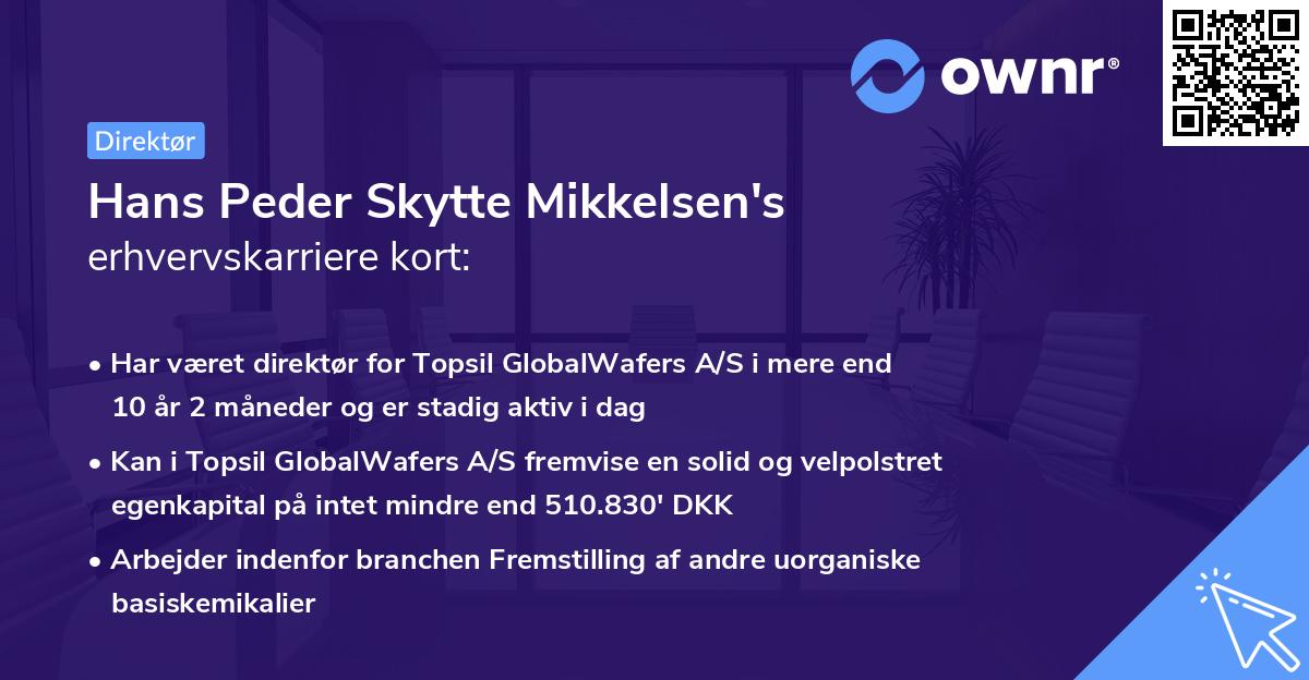 Hans Peder Skytte Mikkelsen's erhvervskarriere kort