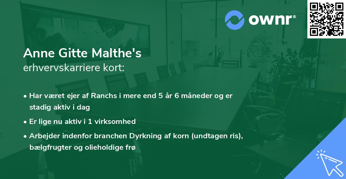 Anne Gitte Malthe's erhvervskarriere kort