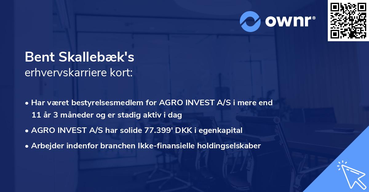 Bent Skallebæk's erhvervskarriere kort