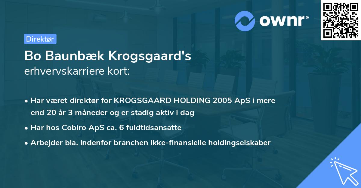 Bo Baunbæk Krogsgaard's erhvervskarriere kort
