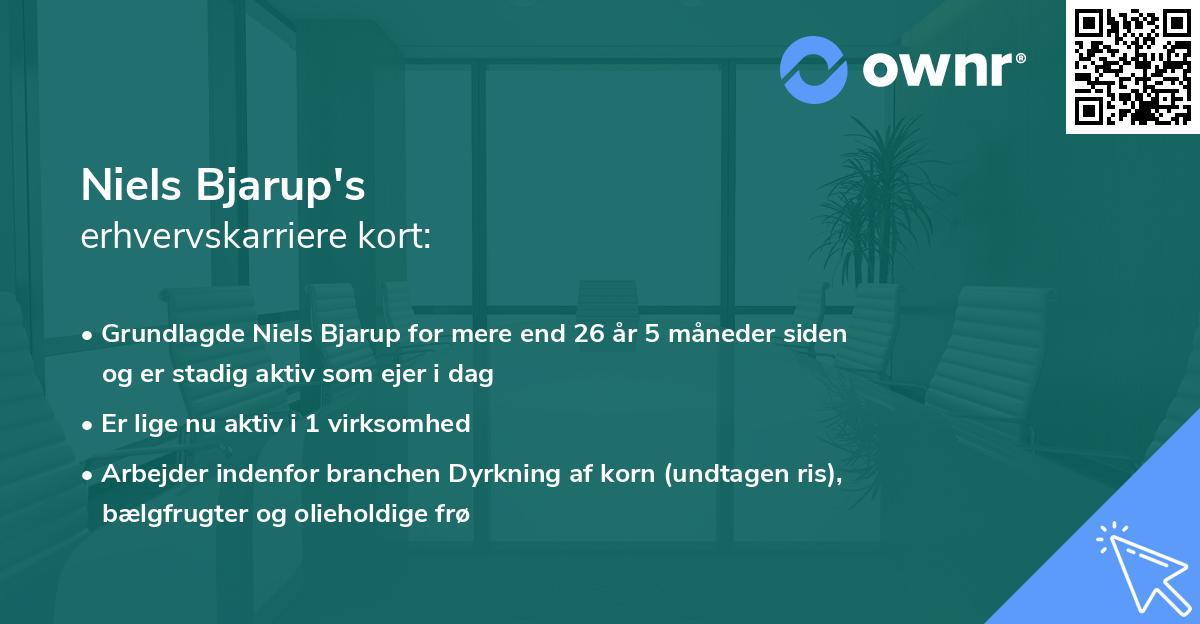 Niels Bjarup's erhvervskarriere kort