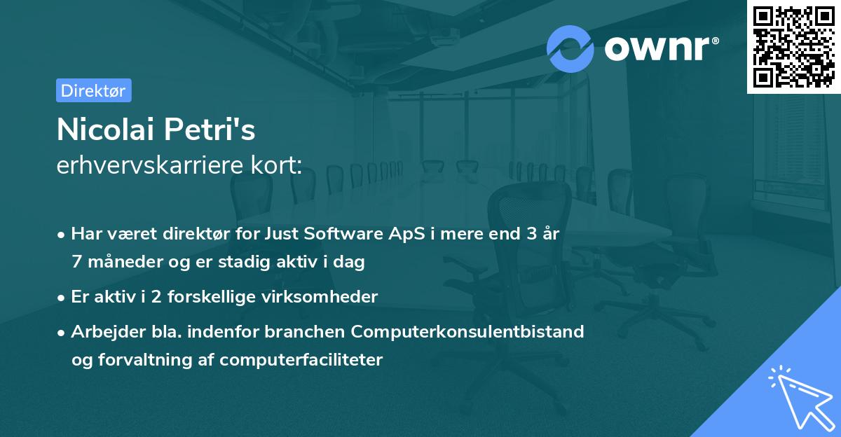 Nicolai Petri's erhvervskarriere kort