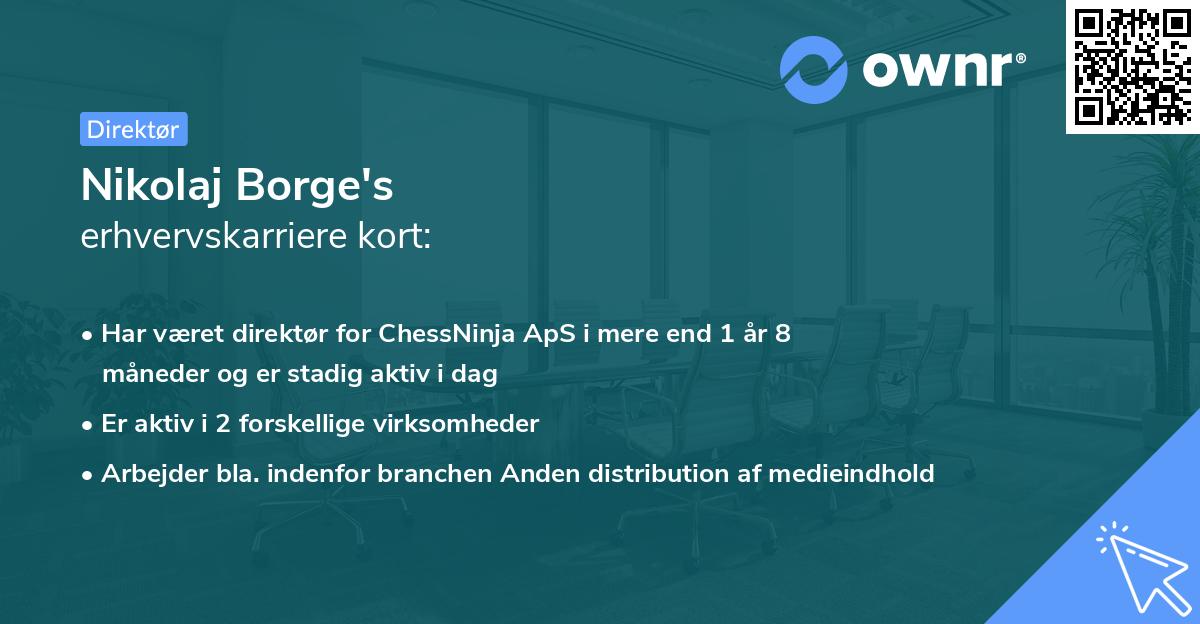 Nikolaj Borge's erhvervskarriere kort