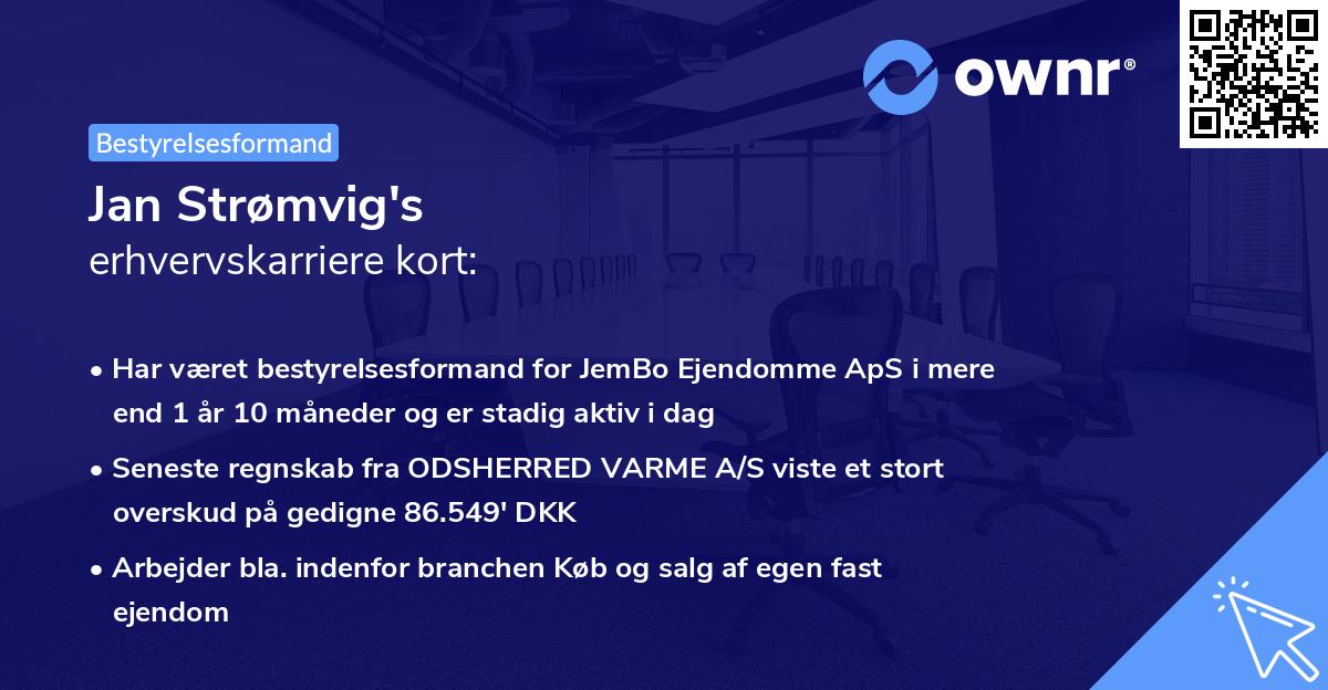 Jan Strømvig's erhvervskarriere kort