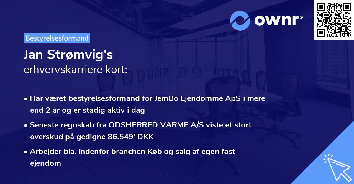 Jan Strømvig's erhvervskarriere kort