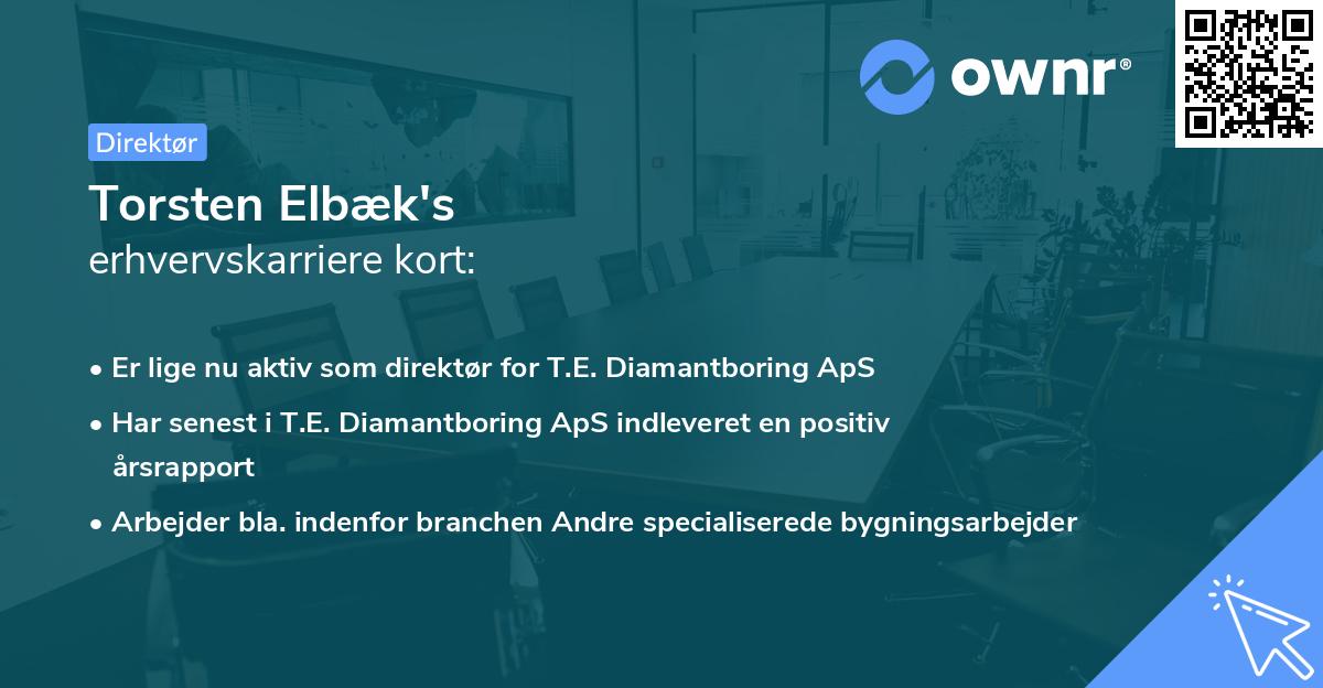 Torsten Elbæk's erhvervskarriere kort