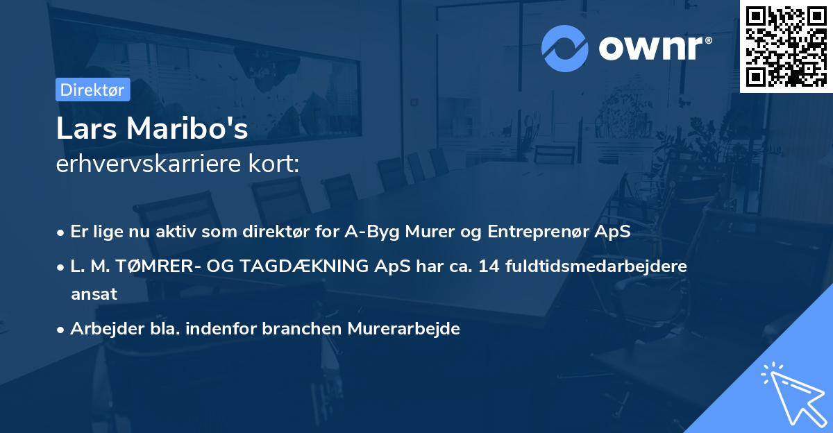 Lars Maribo's erhvervskarriere kort