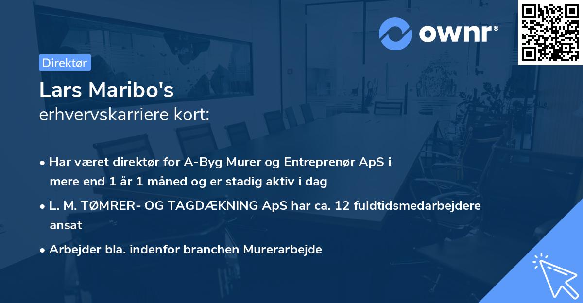 Lars Maribo's erhvervskarriere kort